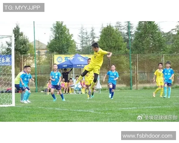 足球星中星带你纵览绿茵赛场巨星风采与荣耀时刻