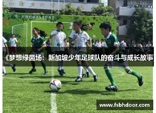 《梦想绿茵场：新加坡少年足球队的奋斗与成长故事》